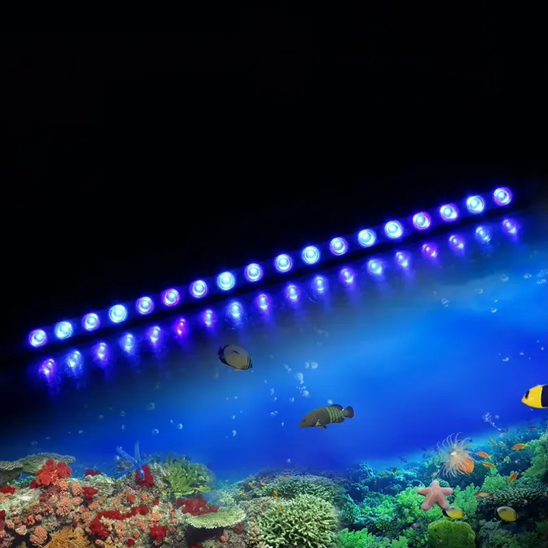 Marine Aquarium Hours - Dimbare timer LED aquariumverlichting voor zeeaquarium,
