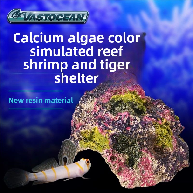 Marine Aquarium Hermit Crab - VASTOCEAN Zoutwateraquarium Grotrijger Veilig verberggat voor