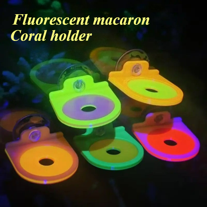 Marine Aquarium Live - Kleur Willekeurig Koraal Frag Houder Beugel