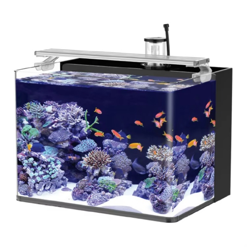Marine Aquarium Live - Gebogen zoutwater aquarium voor visjes, geschikt