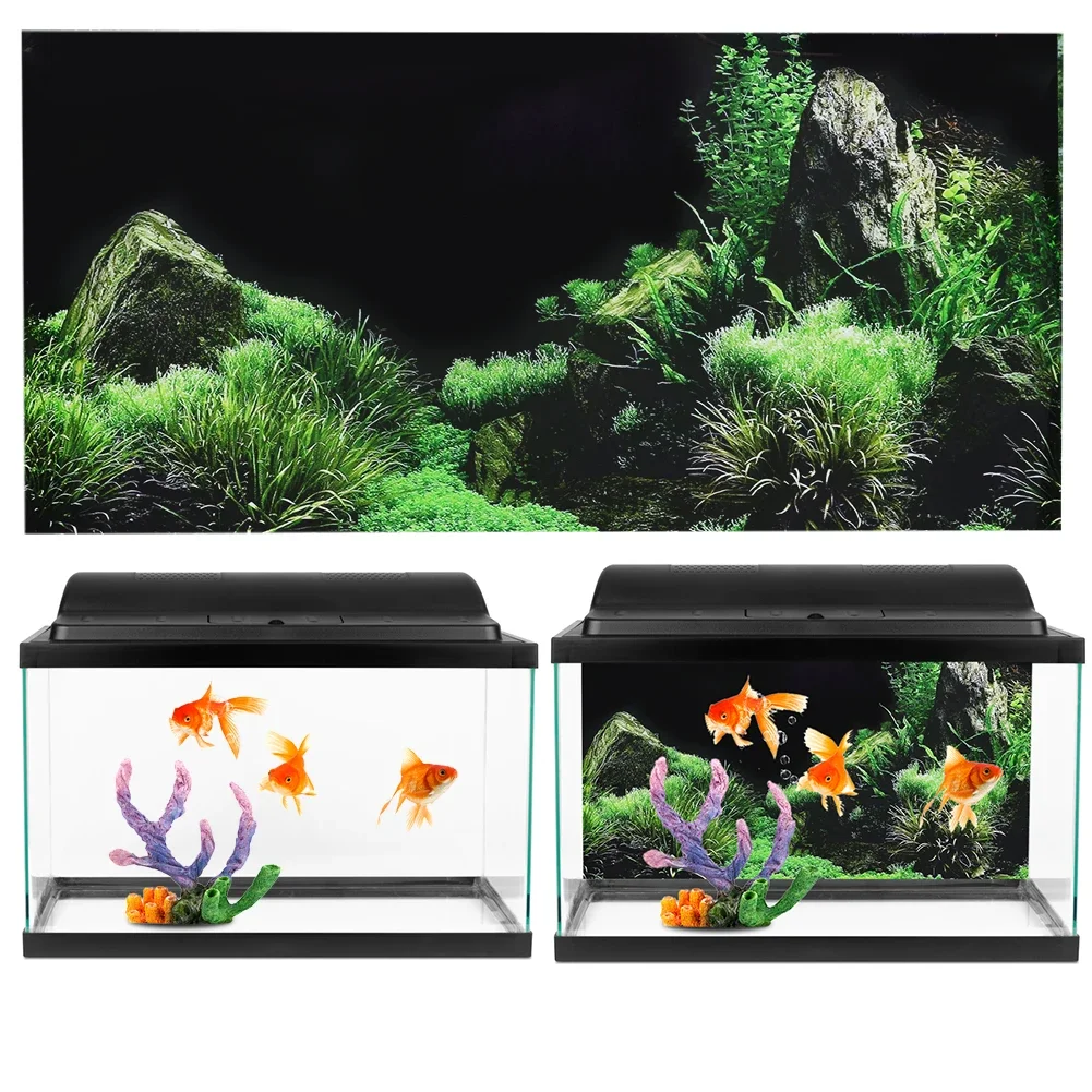 Achtergrond Voor Aquarium 3d S - Marine Aquarium Aquascape recensie en prijs