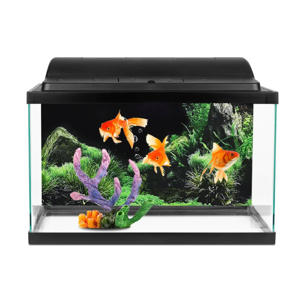 Achtergrond Voor Aquarium 3d S - Marine Aquarium Aquascape recensie en prijs