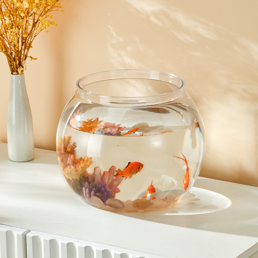 Huisdecoratie Transparante Ron - Marine Aquarium Live recensie en prijs