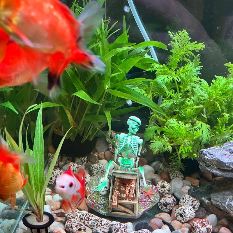 Aquarium Aërobe Landschap Bubb - Marine Aquarium Aquascape recensie en prijs