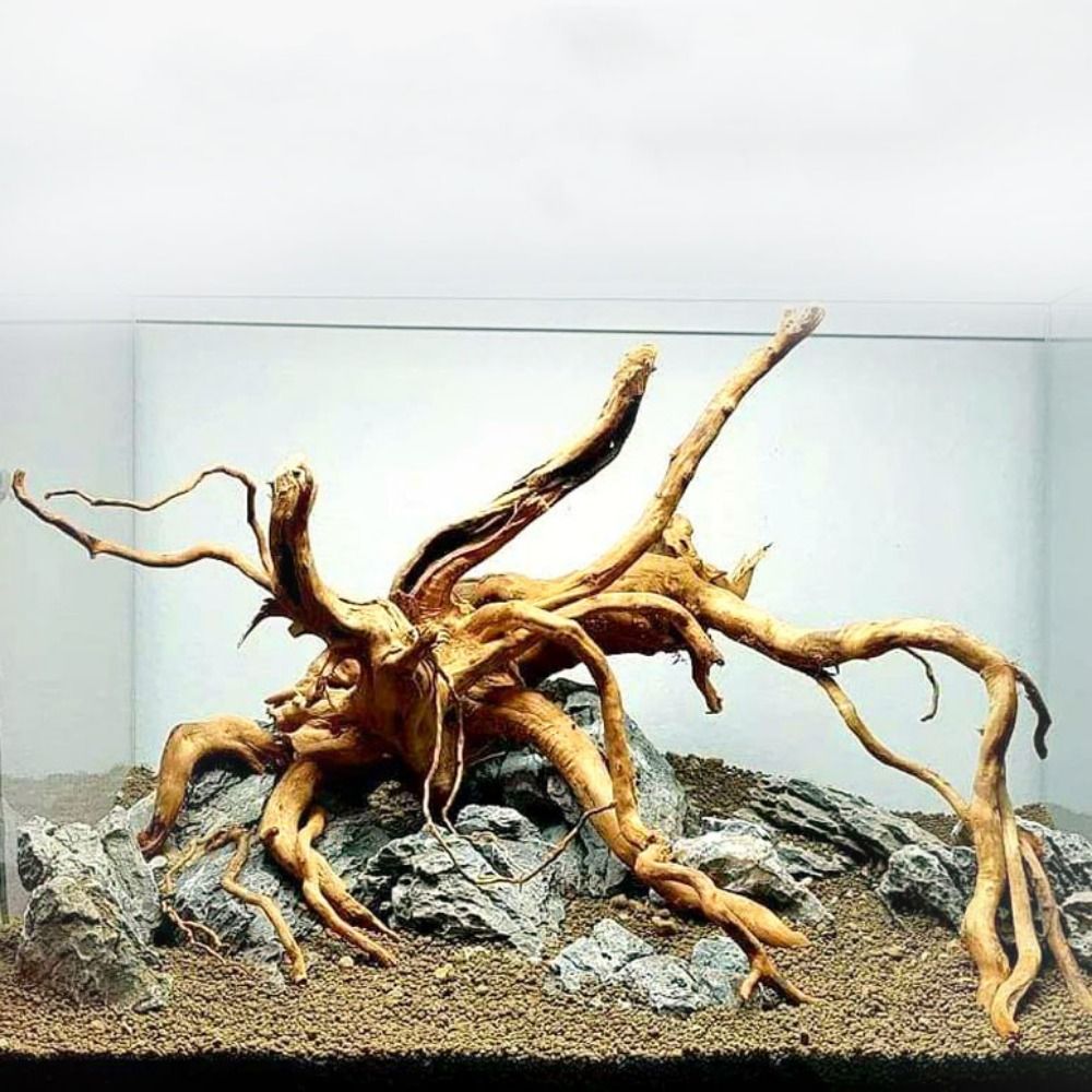 Natuurlijke Boomstam Aquarium  - Marine Aquarium Aquascape recensie en prijs