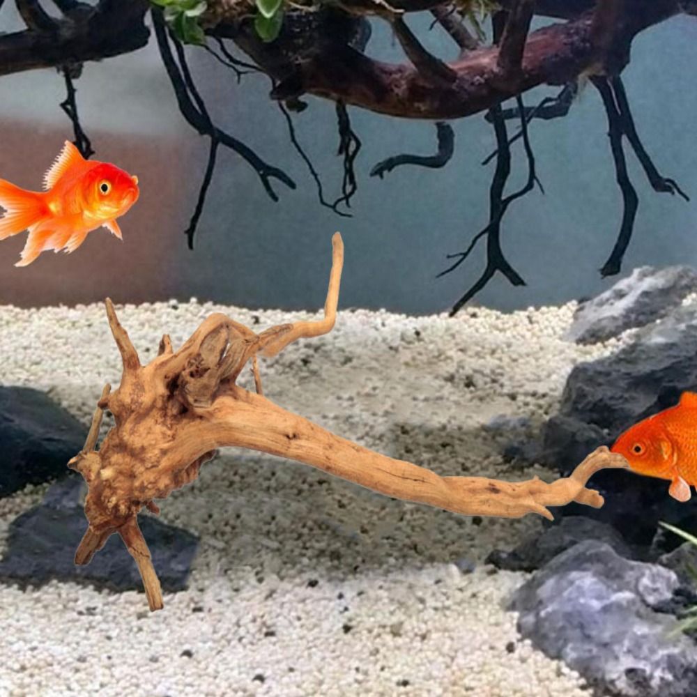 Natuurlijke Boomstam Aquarium  - Marine Aquarium Aquascape recensie en prijs