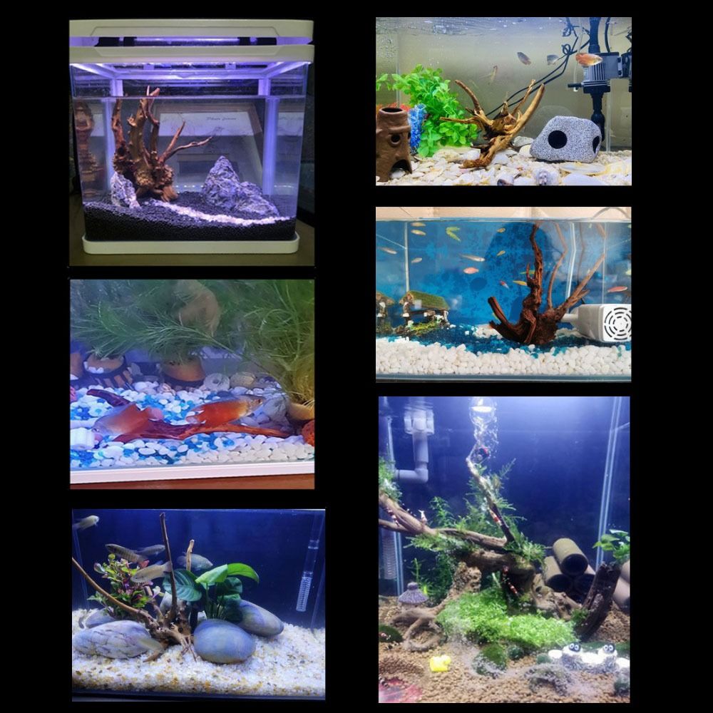 Natuurlijke Boomstam Aquarium  - Marine Aquarium Aquascape recensie en prijs