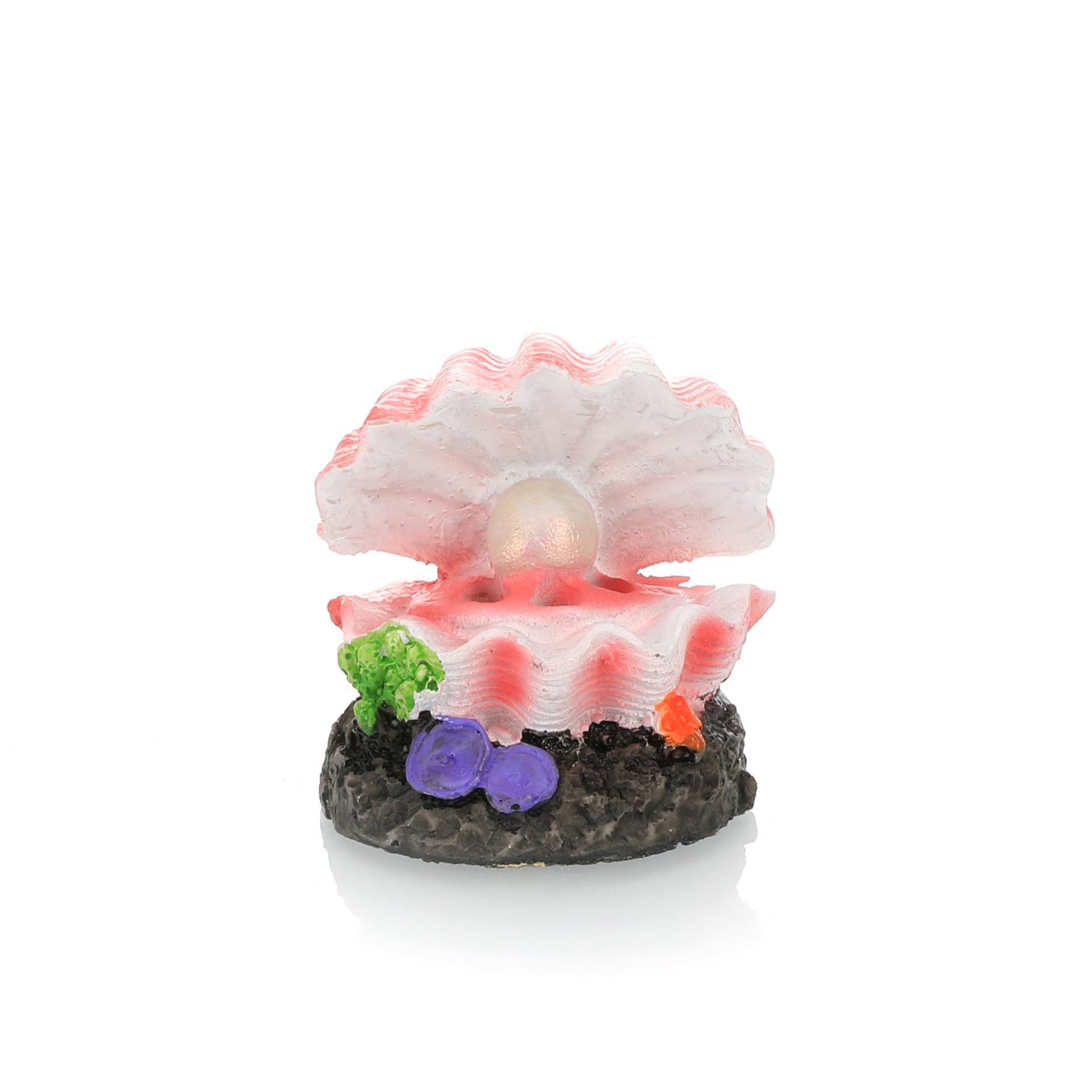 Aquarium Landschapsarchitectuu - Marine Aquarium Aquascape recensie en prijs