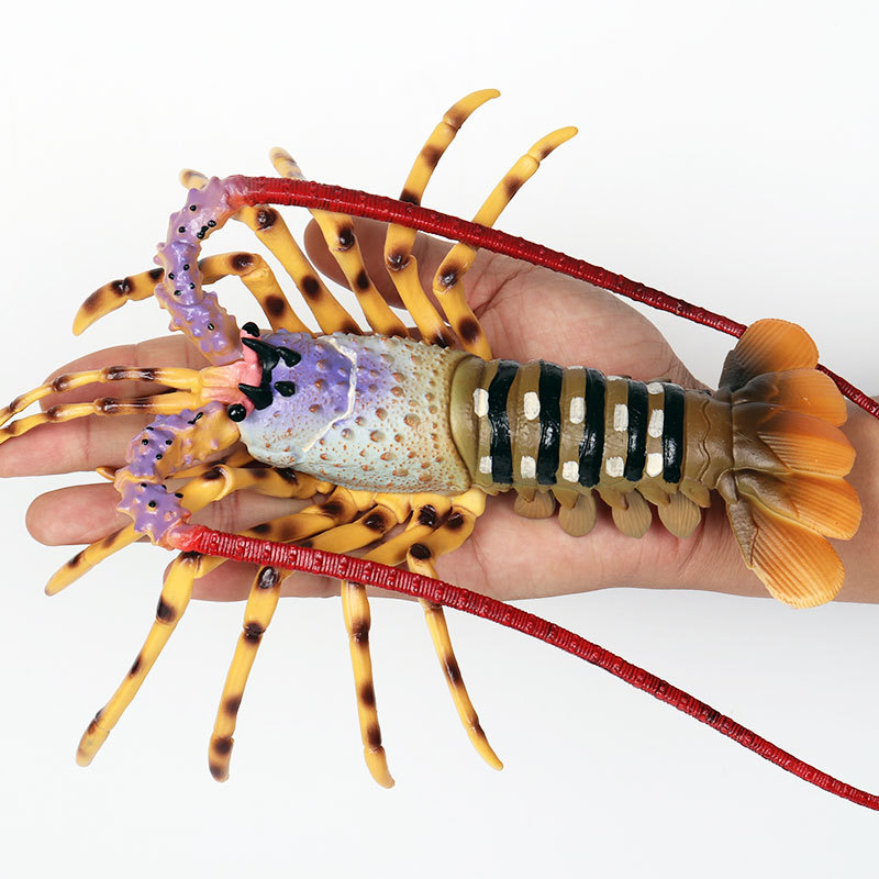 Realistisch zeeleven figuurtje - Marine Aquarium Hermit Crab recensie en prijs