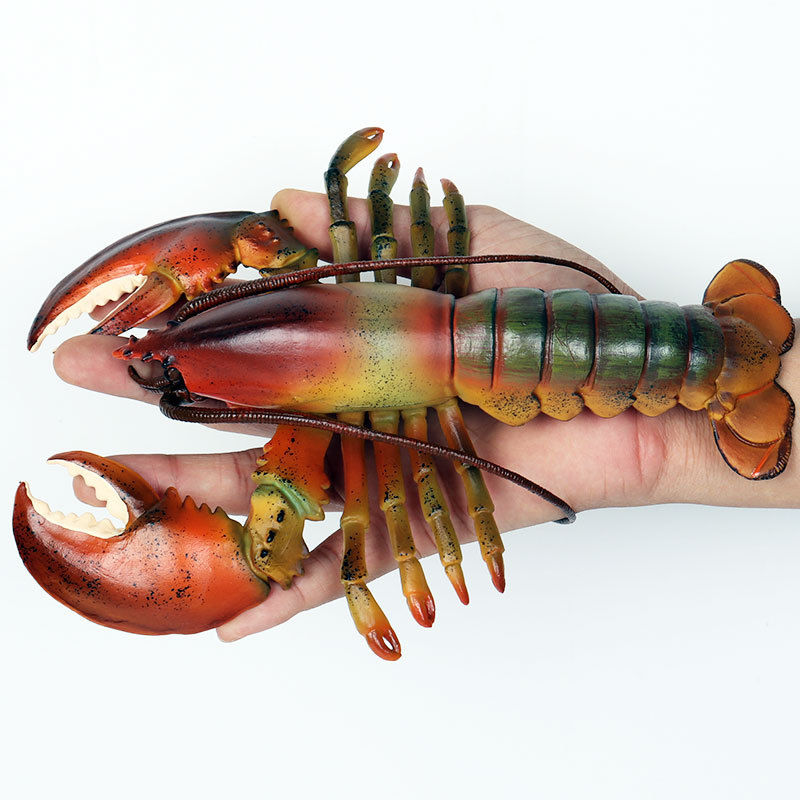Realistisch zeeleven figuurtje - Marine Aquarium Hermit Crab recensie en prijs