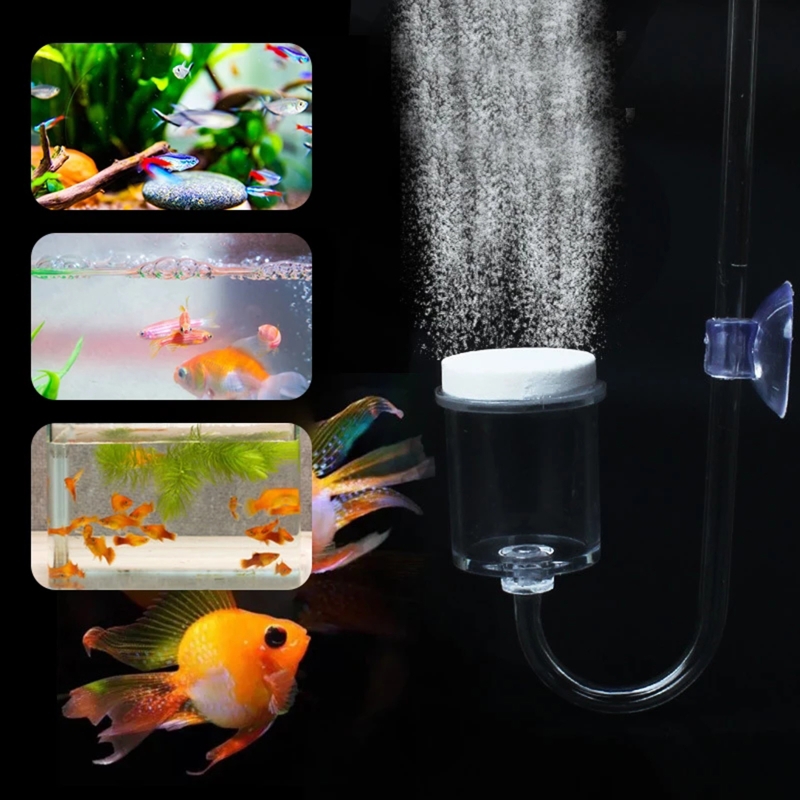 4 Stuks Set Diy Co2 Diffuser V - Marine Aquarium Live recensie en prijs