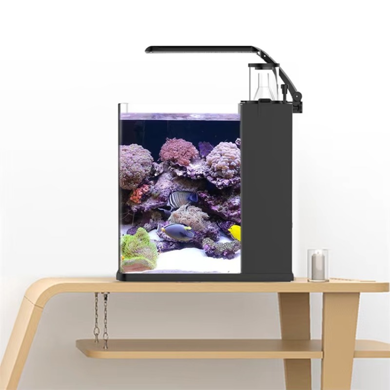 Gebogen zoutwater aquarium voo - Marine Aquarium Live recensie en prijs