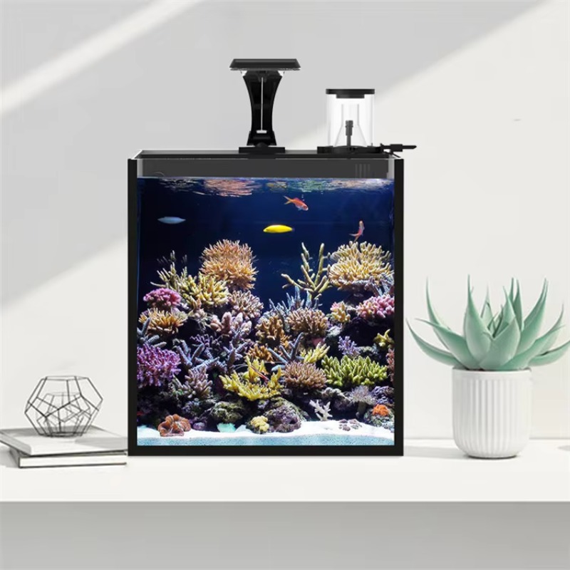 Gebogen zoutwater aquarium voo - Marine Aquarium Live recensie en prijs