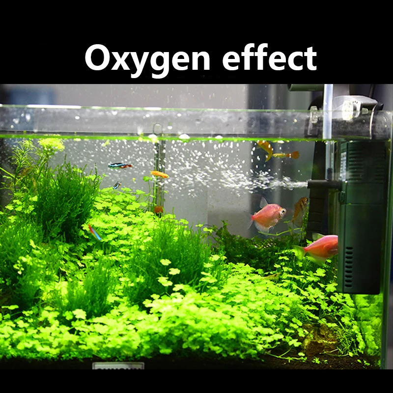 Sunsun Mini Nano 111b 311b 611 - Marine Aquarium Nano recensie en prijs